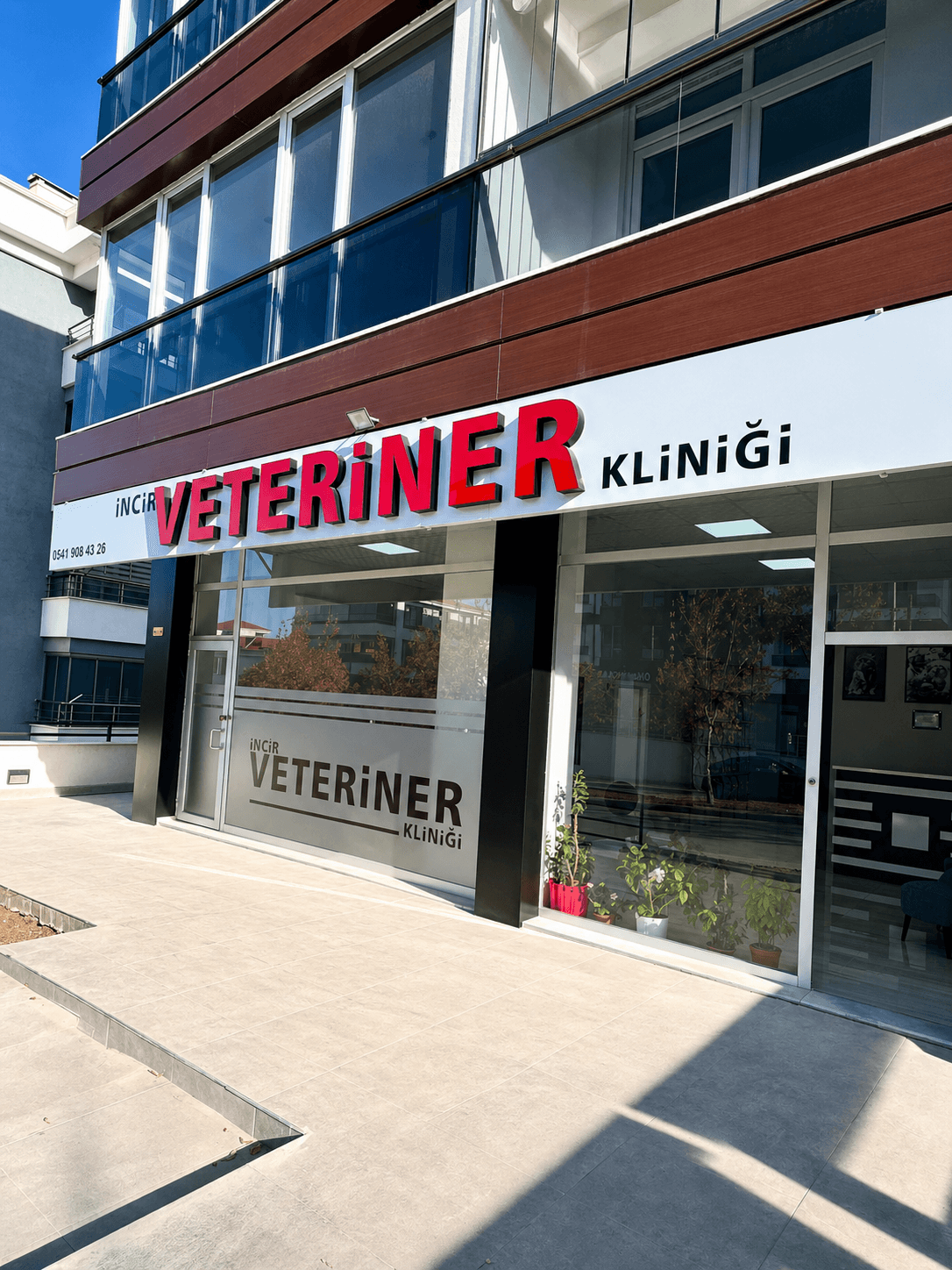 İncir Veteriner Kliniği - Veteriner hekim muayene