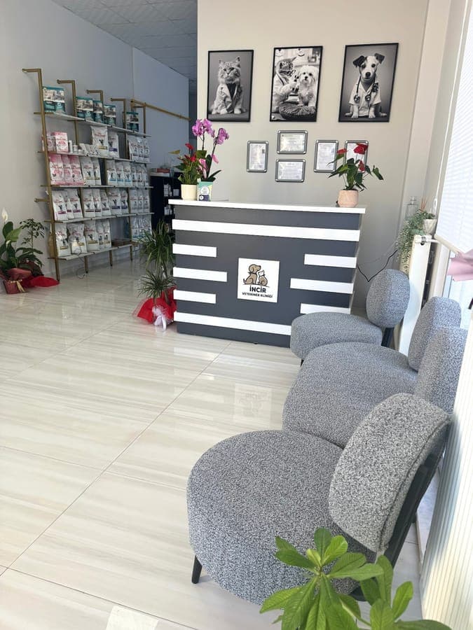Klinik resepsiyon alanı ve bekleme salonu