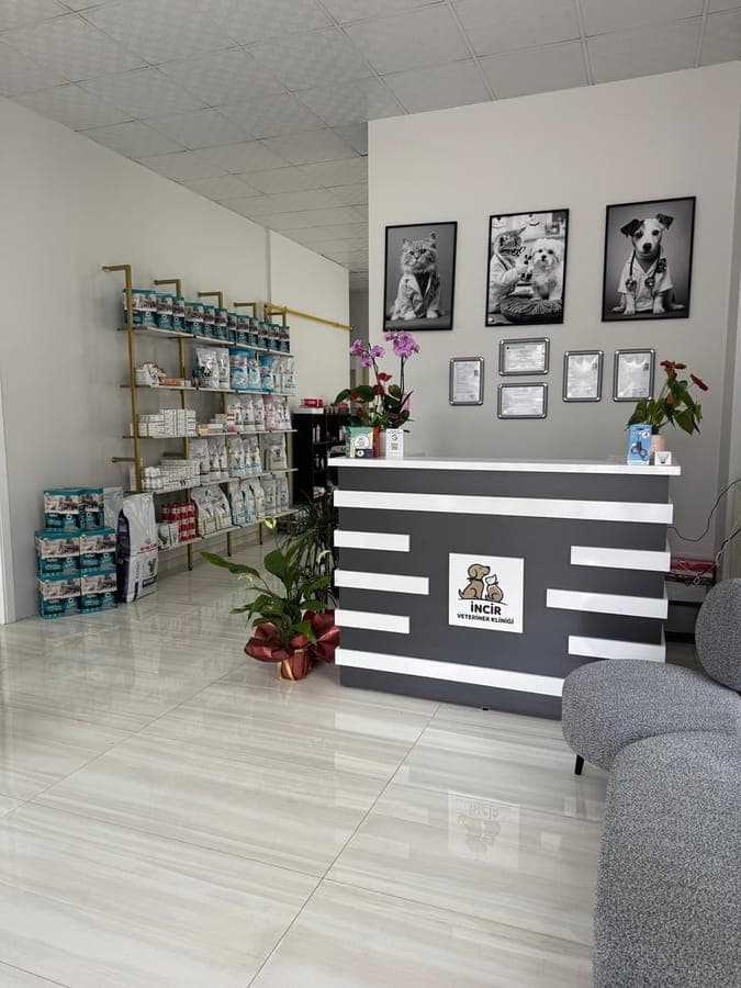 İncir Veteriner Kliniği resepsiyon ve logo
